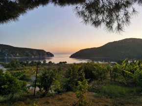 Porto Koufo Resort Bungalows